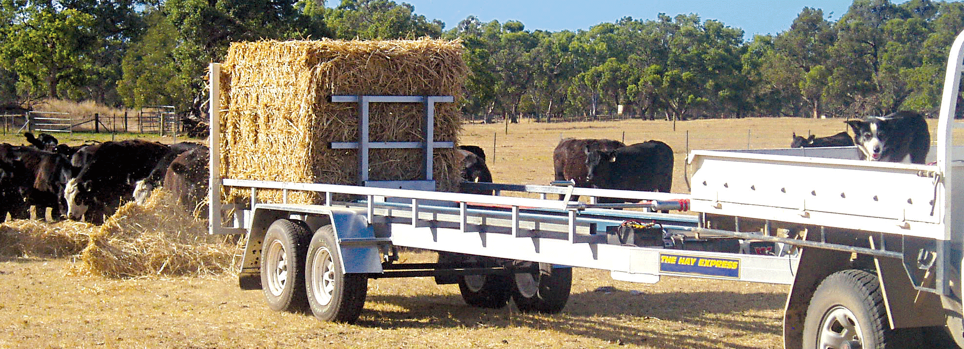 The Hay Express 2tn Trailer